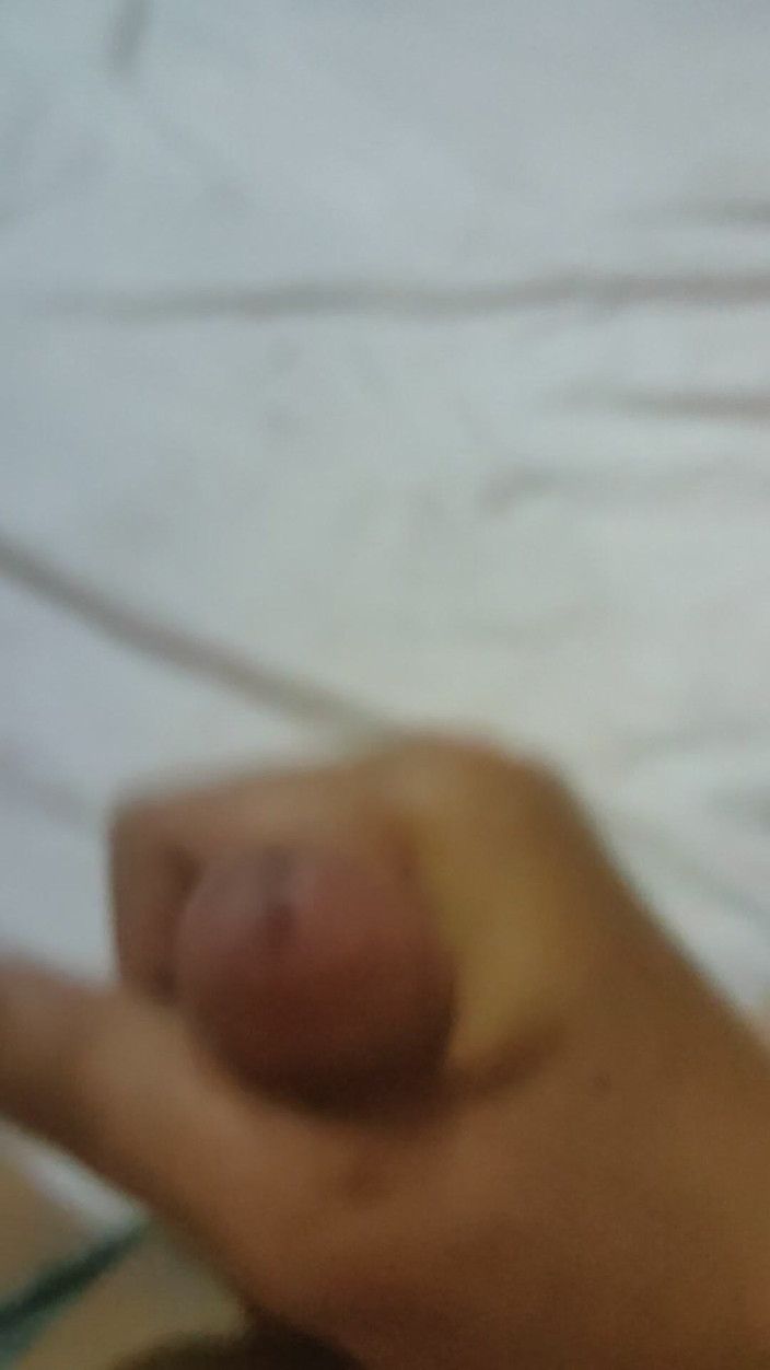 ArchAss: Collab'a aç!