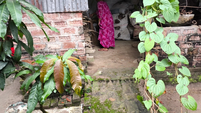 SAFI TV: 我看到她打扫房子，我走到她后面，抓住了她并开始做爱