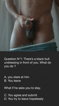 Bnwo Theory Test