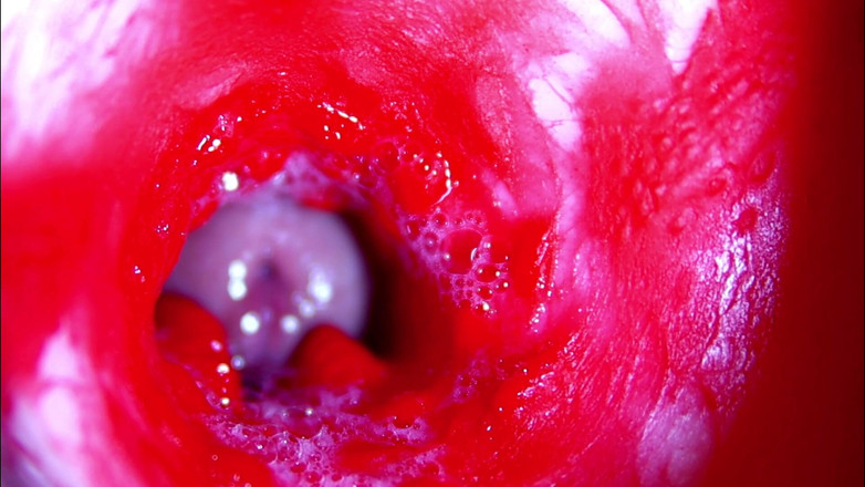 SEXY_GUYBEST: Extrémní detailní ASMR hlava uvnitř mokré kundičky