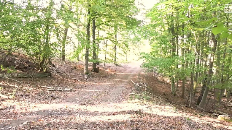 German Full Movies: Tóc vàng sừng MILF (má mì quyến rũ) muốn được fucked và...