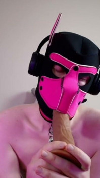 This Could Be Your Cock in Hound's Mouth