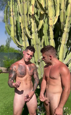 BoyGym: S Thony_grey