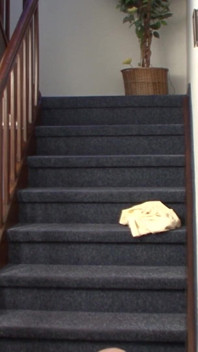 Watch Thow This German Slut Got Hardcore Fuck at Staircase