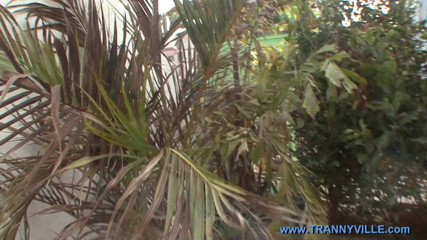 Trannyville: Super hot TS trans shemale pornstar big tits cum slut...
