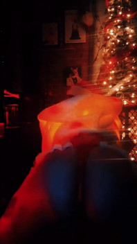 Merry Xxxmas