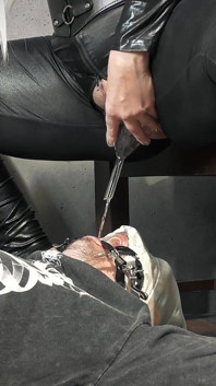 Sclav ascultător sub scaunul stăpânei deschide gura larg și înghite