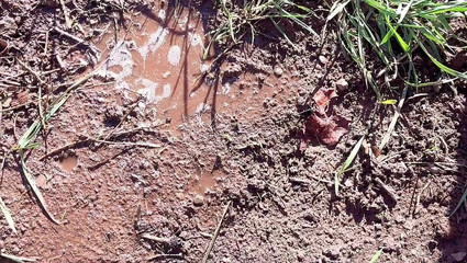 Thumbnail of Pissing Pussy in Cold Weather Outside