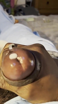 Big Stepdaddy Cock