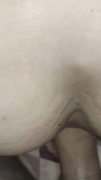 Position du chien dans le salon