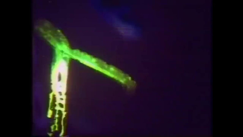 Vintage megastore: American Vintage Blonde Tastes Her First Big Black Cock