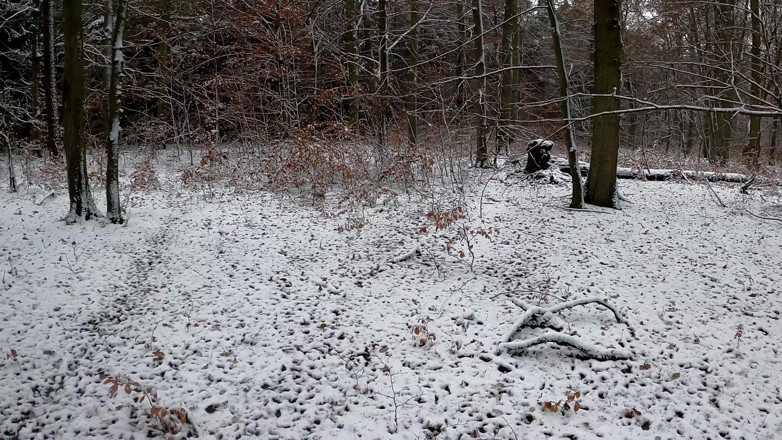 Bouncy Tits Action: Jacket off in the Winter Forest and Tits Red