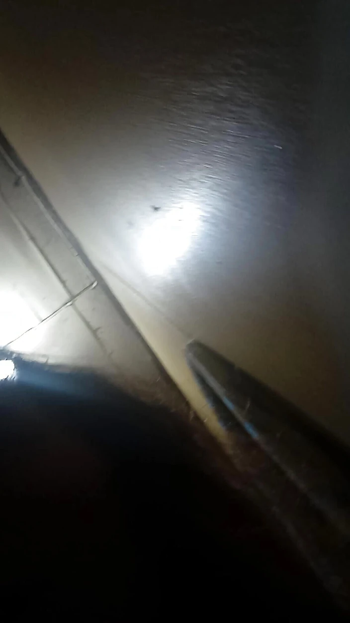 Reynaldo6: Just Go, Reyna, Get Fucked Tonight