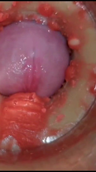 Compilação creampie parte 7 pov