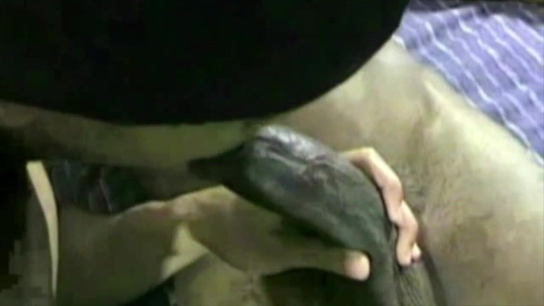 Black fuckers with big cock: Amazing porn with boys with XXL black cock
