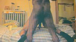 Kim Kay Tops a BBC Part 2