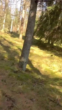 Rendez-vous risqué dans la forêt - pas de préservatif, nous sommes allés trop loin