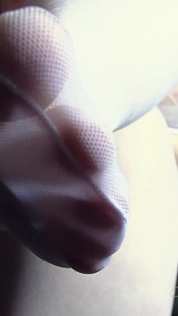 Silken Stocking Snare