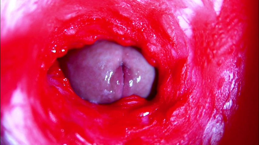 Extreme close-up ASMR head inside wet pussy (Sexy guybest) Extreme close-up ASMR head inside wet pussy (Sexy guybest)