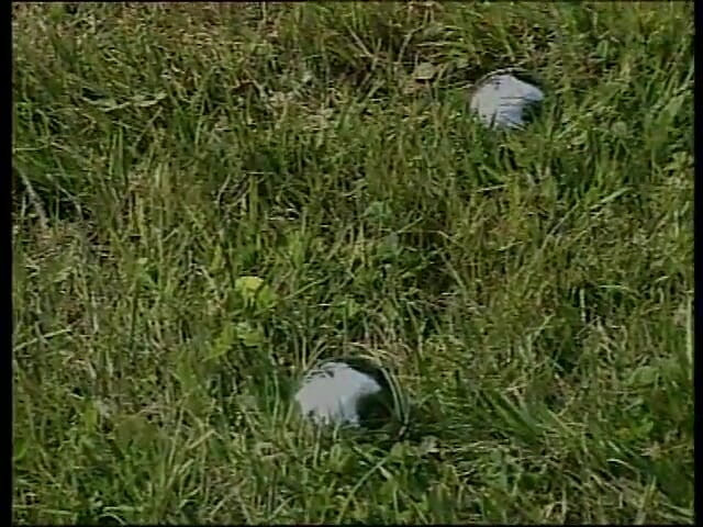 Vintage megastore: Macocha, daj mi rękę (pełny włoski film porno vintage)