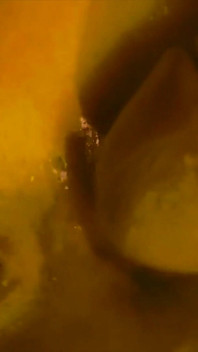 Sorcière Des Cavernes Adore L’écart Anal
