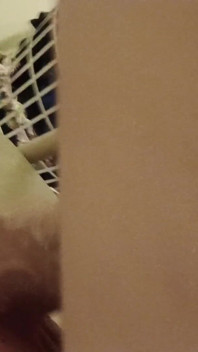 Lets Have Cum Together