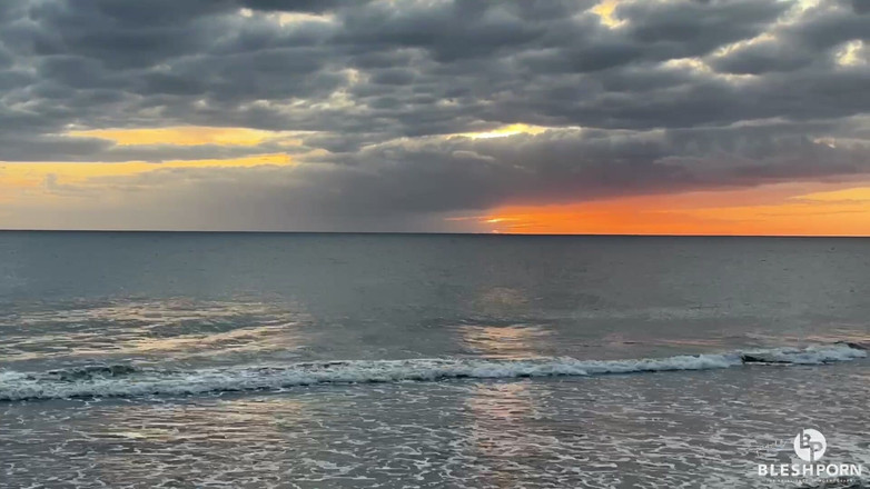 bleshporn: Tim Blesh plajda açık havada boşalma