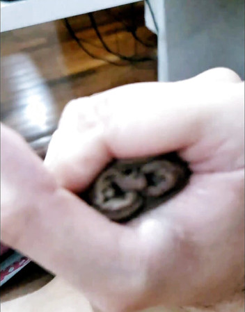 Lkdick8: Szarpanie się, aby zapomnieć o problemach życiowych