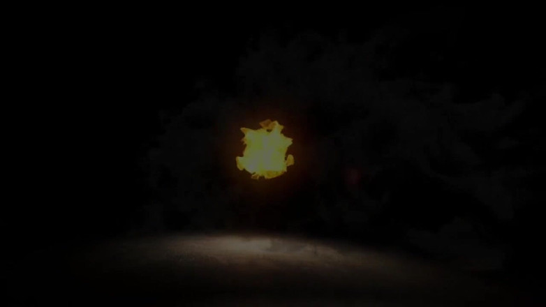 The Flourish XXX: Я відмовляся від своєї дупи, щоб врятувати нашу відпустку