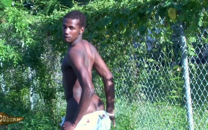 CocoDorm: Sexy Sylk
