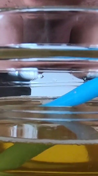 Mísa špinavého chcaní a spermatu, mňam