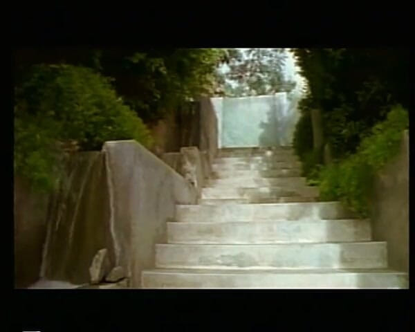 GERMAN PORN CLASSICS: orchidea