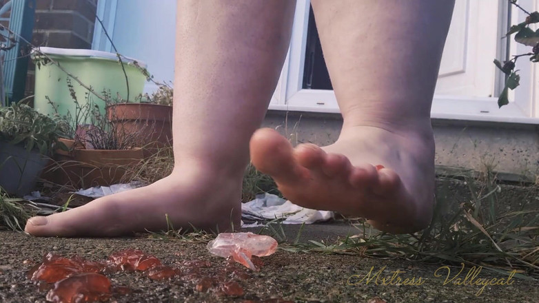 Mxtress Valleycat: 자이언츠 스단계