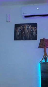 Detik-detik Lucu Dalam Strim 2025 Kim 6 Disember