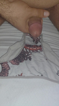I Ejaculate Into the Panties My Wife Is Going to Wear While She Is in the Bathroom.