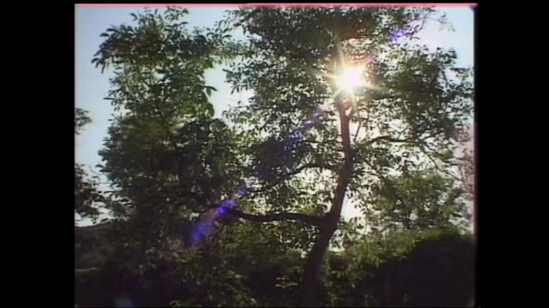 MMV films - The Original: 熟女被大鸡巴肛交和菊花射精的自拍性爱