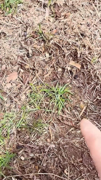 Vai Fuori Poi Si Mostra La Figa Che Piscia