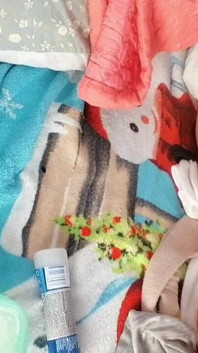 Amatorska Żona Masturbuje Się Palcami W Swojej Cipce.