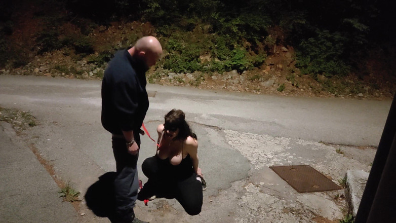 Toilet Mommy: 特別な屋外散歩が行われます