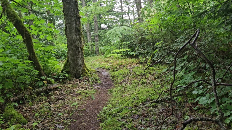 Nerdy_faery: Tree Piss with Female Urination Device