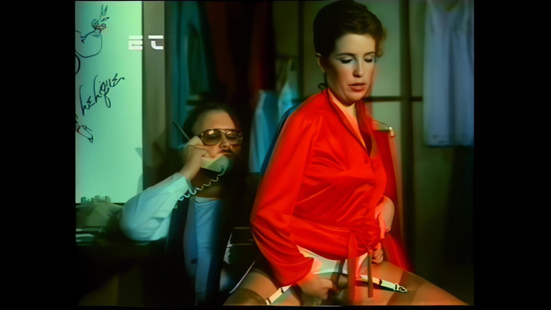 Rocco Siffredi and Friends: Een erotisch hotel