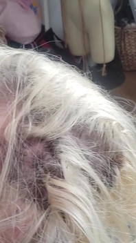 TSディープスロート・ドミネーション