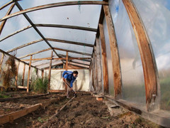 Hera Harding: Brünette masturbiert im greenhouse