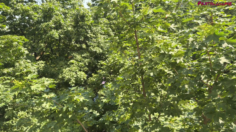 Pantyhose me porn videos: Чоловік записує, як дружина смокче його член, щоб показати всім своїм друзям