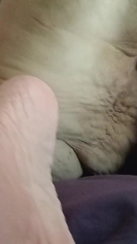 Twerking That Fat Ass Damn Her Boytoy Comes Too Fast