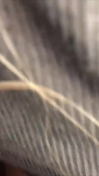 Johntronx - muhteşem genç Taylandlı amatör hatunla halka açık bakış açısı seksi