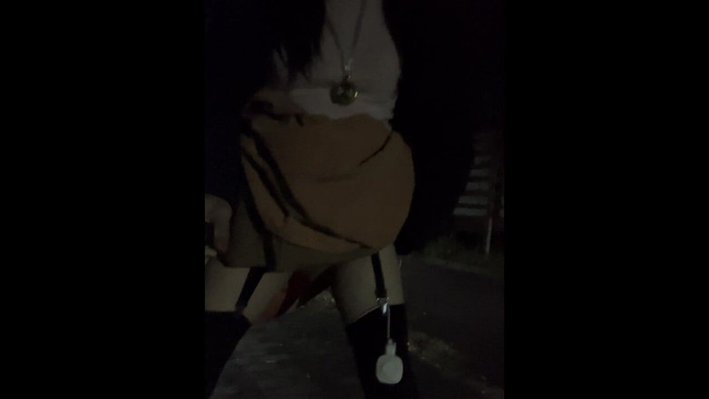 megu2002: 독립 교육 No21 노출 산책과 밤에 길 잃은 오줌