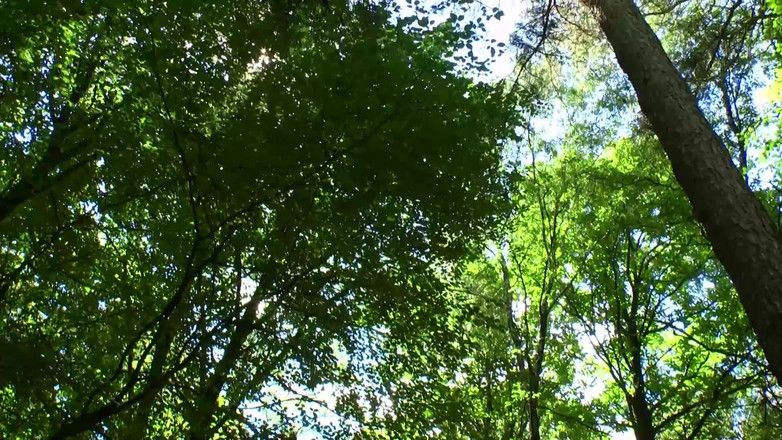 Deutschland Porno X: Татуированная латиноамериканская шлюха с фальшивыми грудями DD трахается четырьмя монстрами!