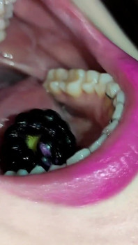 Mouth Tour