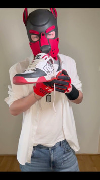 Sniff Dc Ii